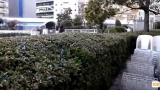 人妖女模精壮小伙激情大乱草